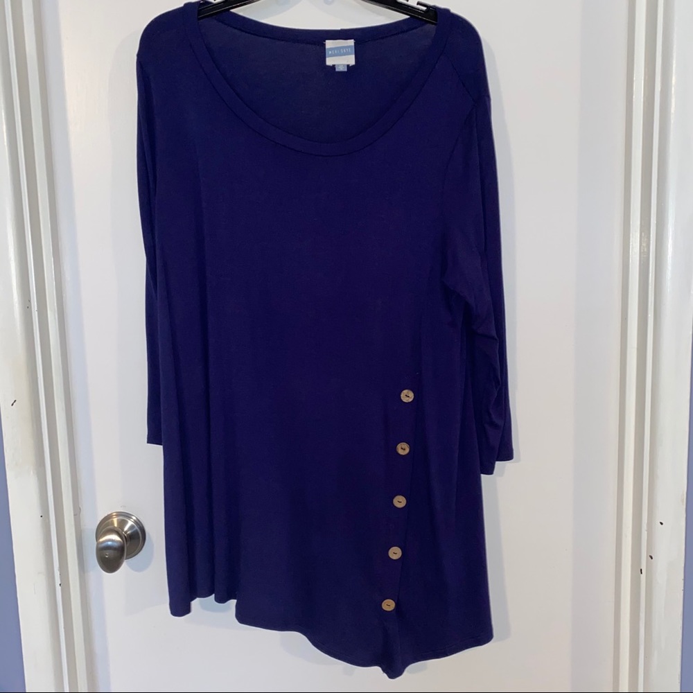 Meri Skye Asymmetrical Tunic Blouse Blue